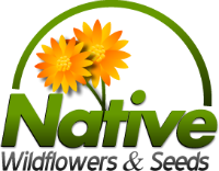 wildflowers-logo-sm